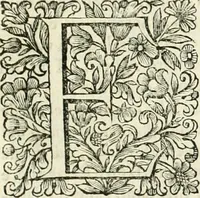 An illustration from Dell'idea della architettura universale (1714)