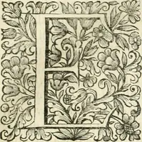 An illustration from Dell'idea della architettura universale (1714)
