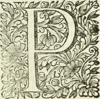 An illustration from Dell'idea della architettura universale (1714)