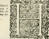 An illustration from Dell'idea della architettura universale (1714)