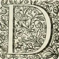 An illustration from Dell'idea della architettura universale (1714)