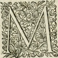 An illustration from Dell'idea della architettura universale (1714)