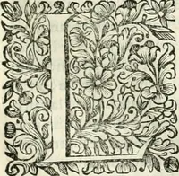 An illustration from Dell'idea della architettura universale (1714)