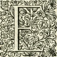 An illustration from Dell'idea della architettura universale (1714)