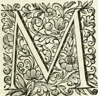 An illustration from Dell'idea della architettura universale (1714)