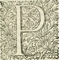 An illustration from Dell'idea della architettura universale (1714)
