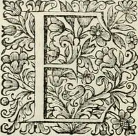 An illustration from Dell'idea della architettura universale (1714)