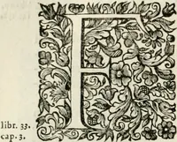 An illustration from Dell'idea della architettura universale (1714)
