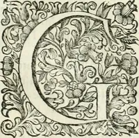 An illustration from Dell'idea della architettura universale (1714)