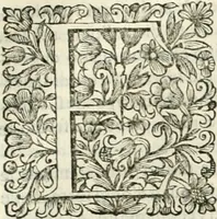 An illustration from Dell'idea della architettura universale (1714)