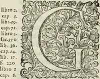 An illustration from Dell'idea della architettura universale (1714)