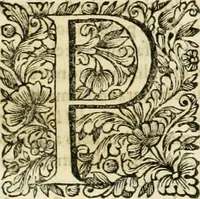 An illustration from Dell'idea della architettura universale (1714)