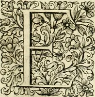 An illustration from Dell'idea della architettura universale (1714)
