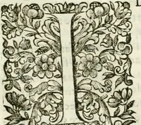 An illustration from Dell'idea della architettura universale (1714)