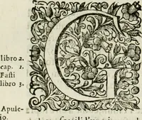 An illustration from Dell'idea della architettura universale (1714)
