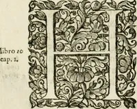 An illustration from Dell'idea della architettura universale (1714)