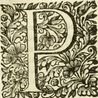 An illustration from Dell'idea della architettura universale (1714)