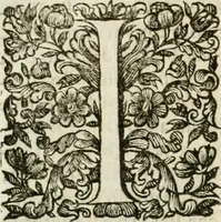 An illustration from Dell'idea della architettura universale (1714)