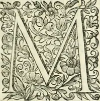 An illustration from Dell'idea della architettura universale (1714)
