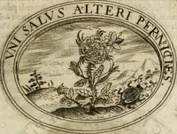 An illustration from Dell'imprese (1594)