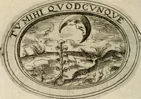 Picture 37 of 138 from Dell'imprese (1594), leaf 199