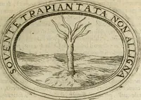 Picture 44 of 138 from Dell'imprese (1594), leaf 206