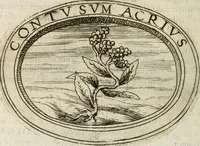 Picture 69 of 138 from Dell'imprese (1594), leaf 279