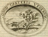 Picture 100 of 138 from Dell'imprese (1594), leaf 413