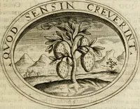 Picture 101 of 138 from Dell'imprese (1594), leaf 416
