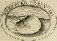 Picture 106 of 138 from Dell'imprese (1594), leaf 438