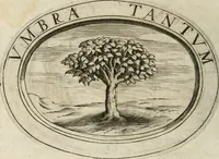 Picture 7 of 138 from Dell'imprese (1594), leaf 45