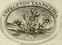 Picture 113 of 138 from Dell'imprese (1594), leaf 467