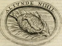 Picture 114 of 138 from Dell'imprese (1594), leaf 470