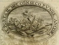 Picture 119 of 138 from Dell'imprese (1594), leaf 494