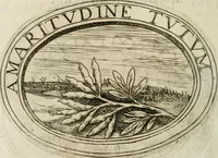 Picture 124 of 138 from Dell'imprese (1594), leaf 499