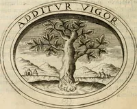 Picture 132 of 138 from Dell'imprese (1594), leaf 533