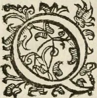 Picture 138 of 138 from Dell'imprese (1594), leaf 587