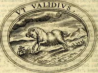 An illustration from Dell'imprese (1594)