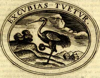 An illustration from Dell'imprese (1594)