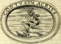 An illustration from Dell'imprese (1594)