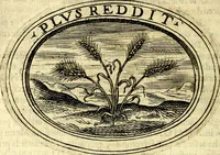 An illustration from Dell'imprese (1594)