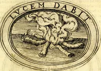 An illustration from Dell'imprese (1594)