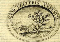 An illustration from Dell'imprese (1594)