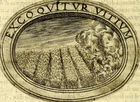 An illustration from Dell'imprese (1594)