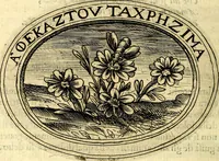 An illustration from Dell'imprese (1594)