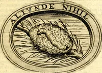An illustration from Dell'imprese (1594)