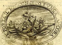 An illustration from Dell'imprese (1594)