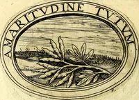 An illustration from Dell'imprese (1594)