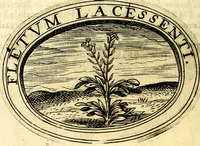 An illustration from Dell'imprese (1594)