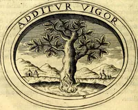 An illustration from Dell'imprese (1594)